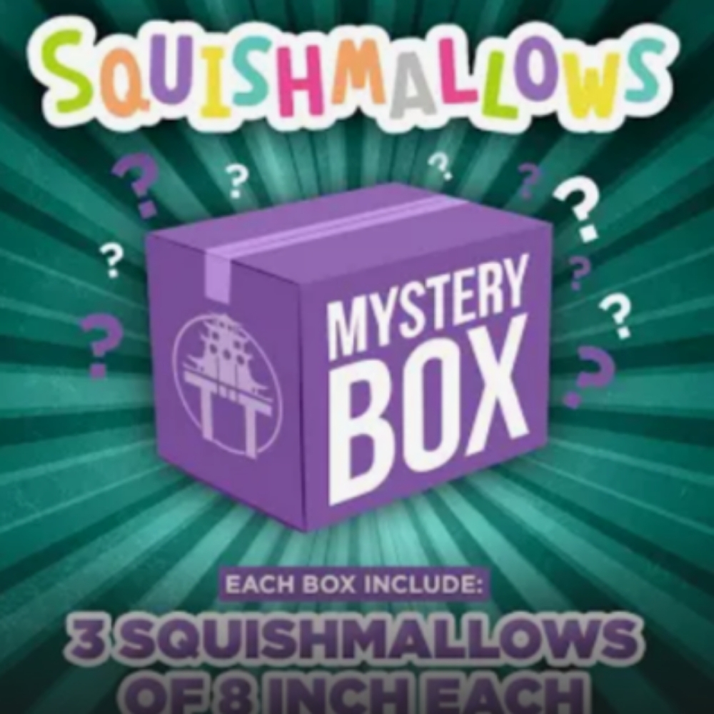 squishmallow mystery 8-inch box
